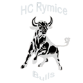 Logo HC Rymice Bulls