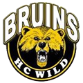 Logo HC Wild Bruins Morkovice